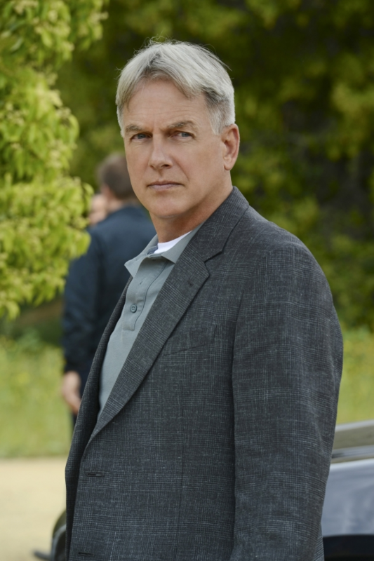 -NCIS ( Leroy Jethro Gibbs )