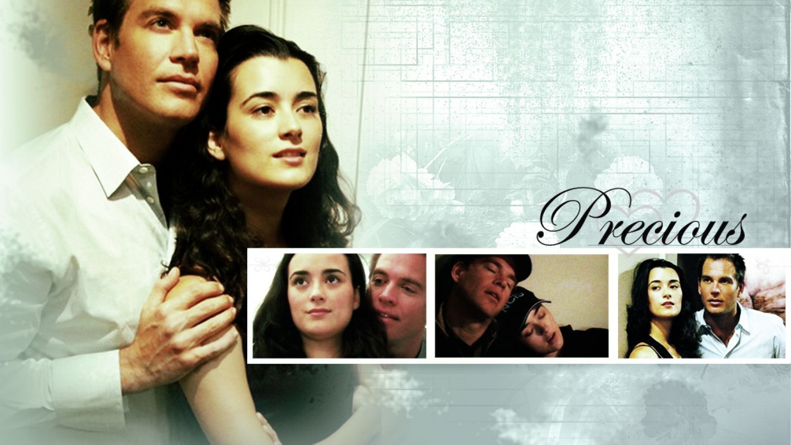 -NCIS ( Tony & Ziva )